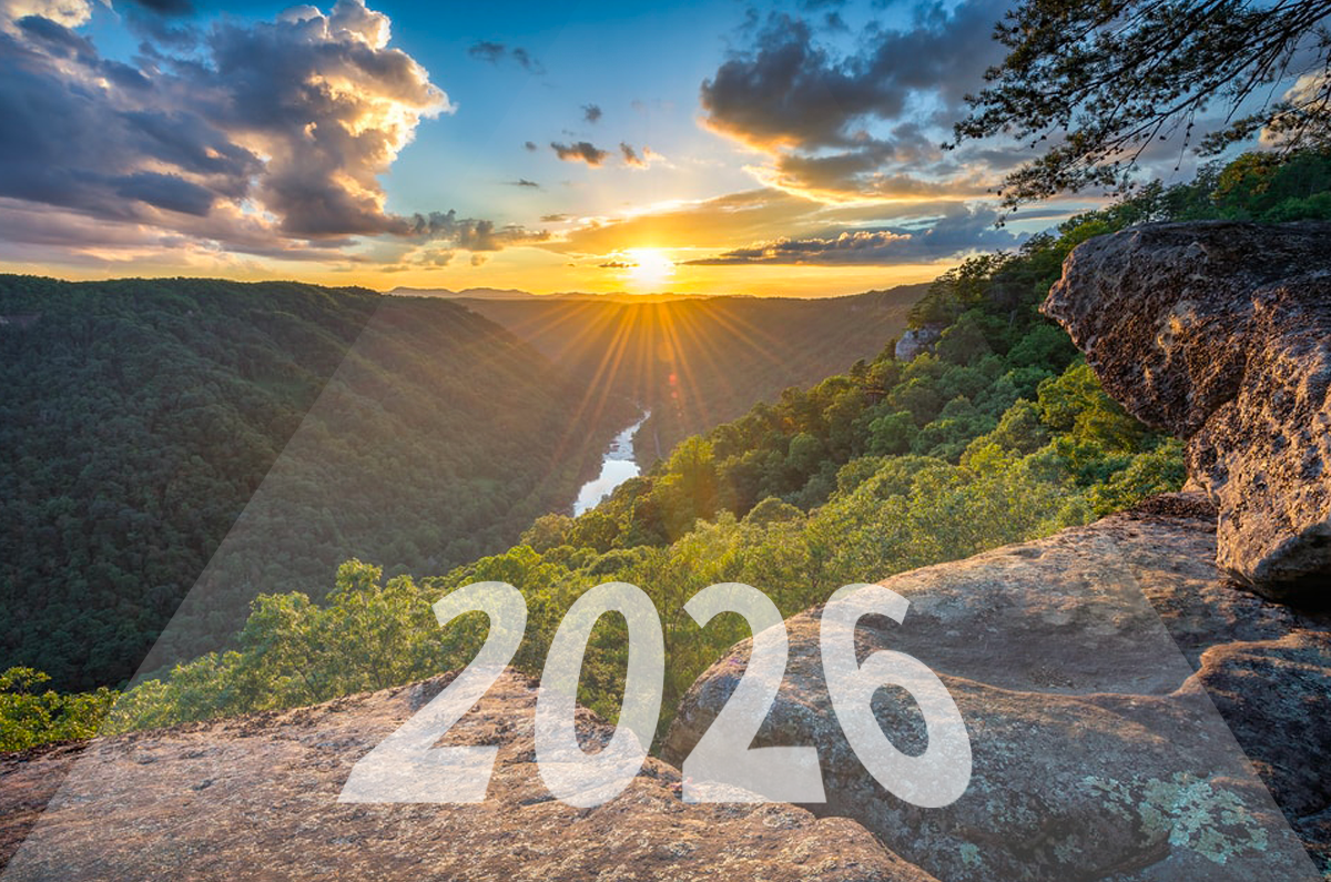 Looking Toward the Future