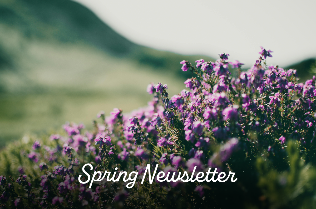 Welcome to the Spring Newsletter!