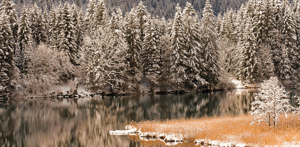 Our Winter Newsletter